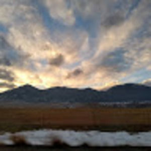 Meet your Posher, Tara